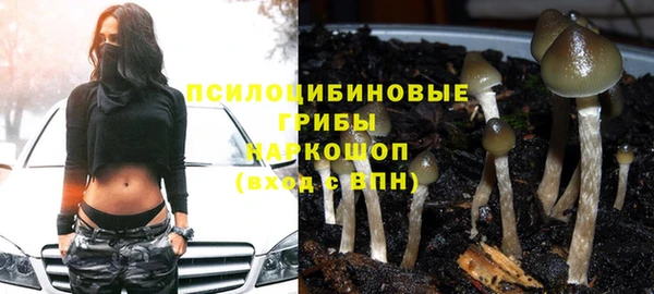 гидра Куйбышев