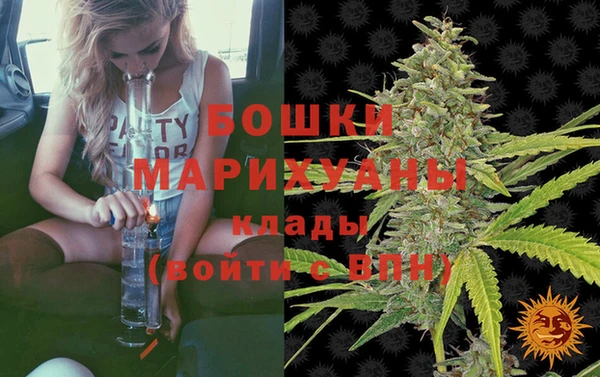 дурь Ладушкин