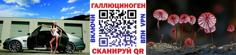 наркота  Кохма  Псилоцибиновые грибы Psilocybe 