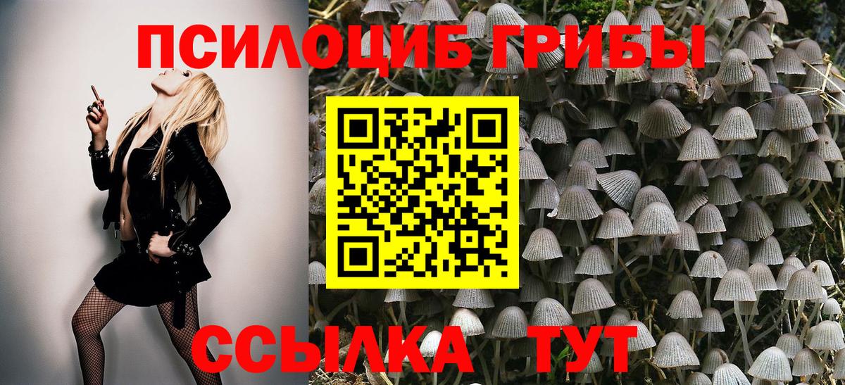 Кохма  Псилоцибиновые грибы мухоморы  Галлюциногенные грибы Psilocybine cubensis  Вход с VPN 
