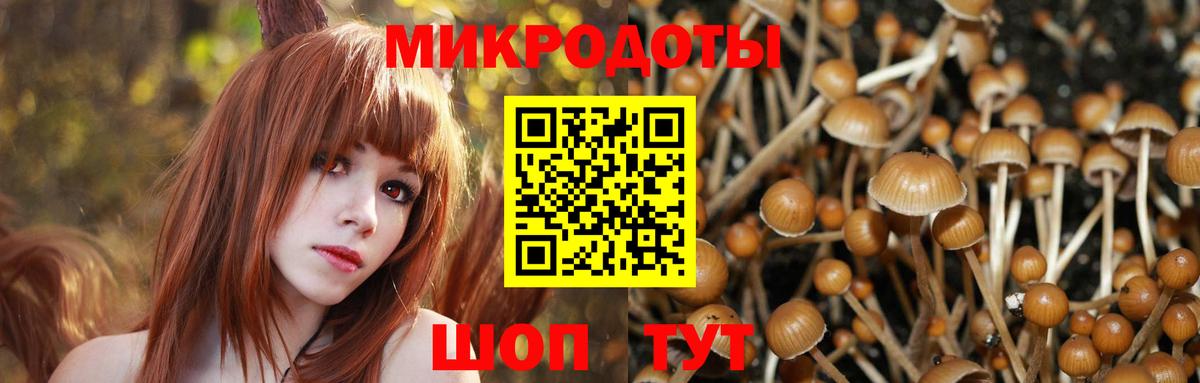 Псилоцибиновые грибы прущие грибы Кохма