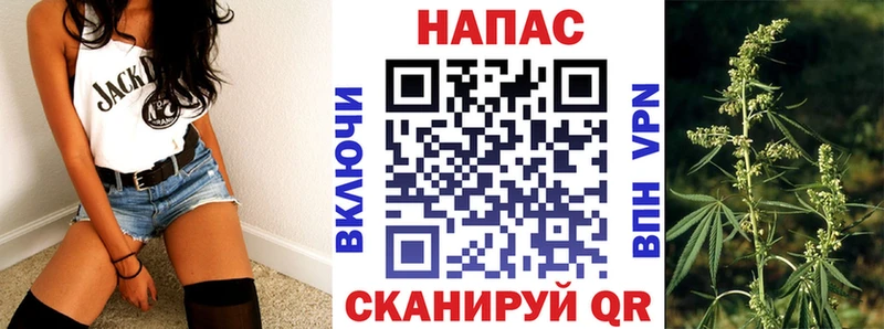Бошки марихуана индика  Кохма 